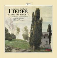 Johannes Brahms: Lieder (Solo) (11 CD)